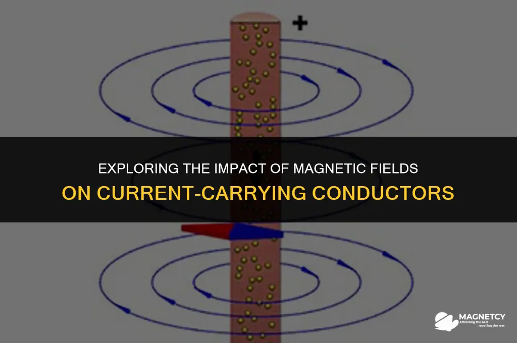 how are current carrying conductors affected by magnetic fields