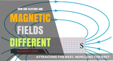 Exploring the Distinct Worlds of Electric and Magnetic Fields