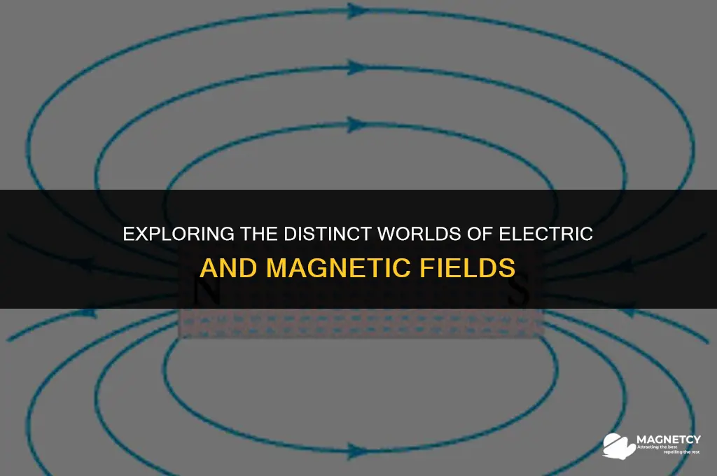 how are electric and magnetic fields different