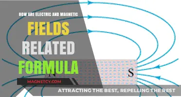 Exploring the Intricate Relationship Between Electric and Magnetic Fields