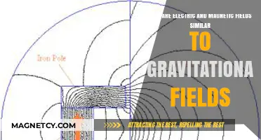Unveiling the Analogies: Electric, Magnetic, and Gravitational Fields Explored