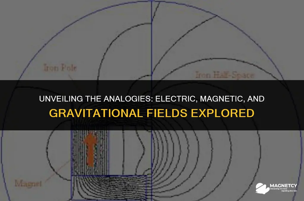 how are electric and magnetic fields similar to gravitational fields