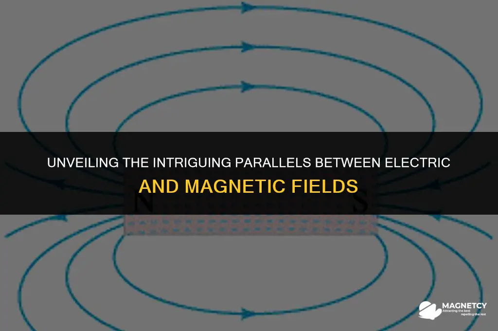 how are electric and magnetic fields similar