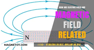 Exploring the Intricate Relationship Between Electric and Magnetic Fields