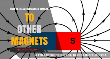 Exploring the Intriguing Parallels Between Electromagnets and Permanent Magnets