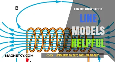 Exploring the Power of Magnetic Field Line Models in Physics
