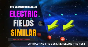 Exploring the Intriguing Parallels Between Magnetic and Electric Fields