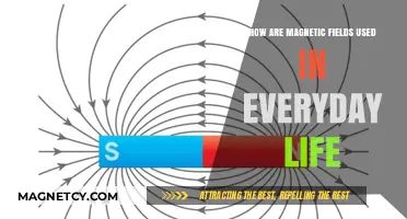 Magnetic Fields: Unseen Forces Powering Everyday Technology and Convenience