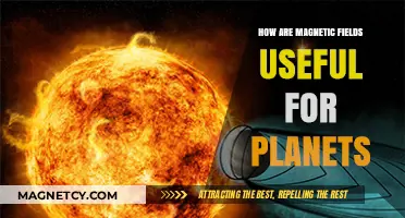 Magnetic Fields: Essential Shields and Navigators for Planetary Survival