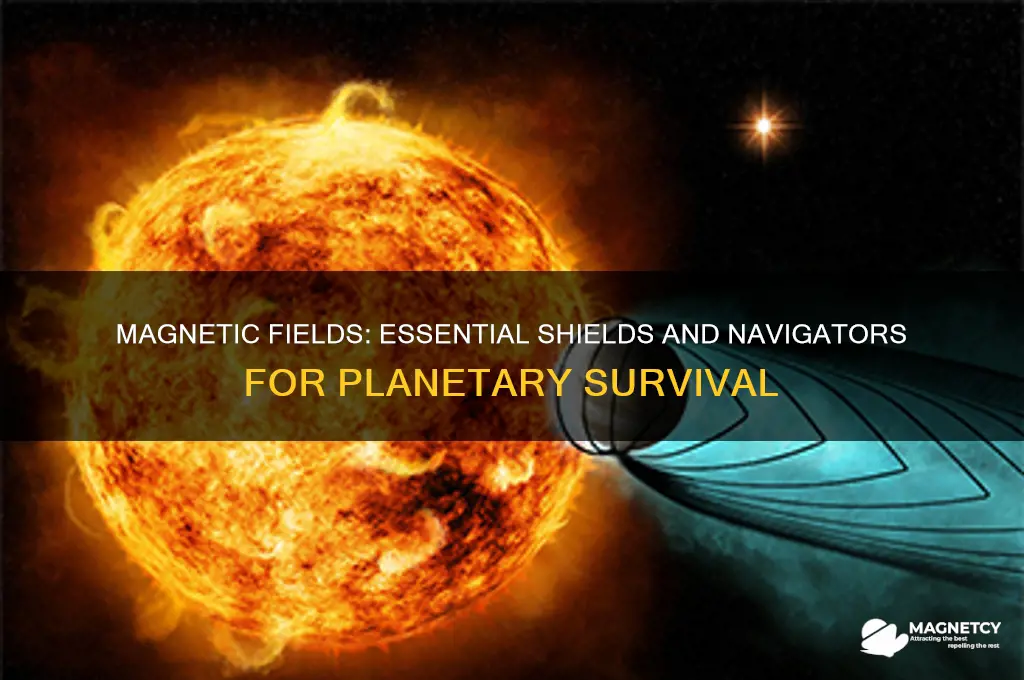 how are magnetic fields useful for planets