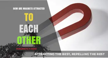 Magnetic Attraction Explained: How Magnets Interact and Pull Each Other