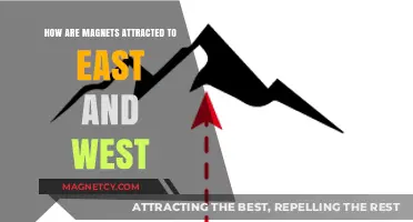 Magnetic Compass Alignment: Why Magnets Point East and West