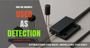 Magnetic Detection: Innovative Applications in Security, Industry, and Technology