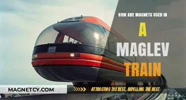 Magnetic Levitation: How Magnets Power Maglev Trains' Speed and Efficiency