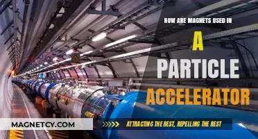Magnets in Particle Accelerators: Steering and Focusing Beams