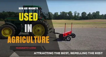 Magnetic Innovations: Transforming Agriculture Through Efficient Crop and Soil Management