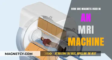 Magnetic Power: How MRI Machines Utilize Magnets for Imaging