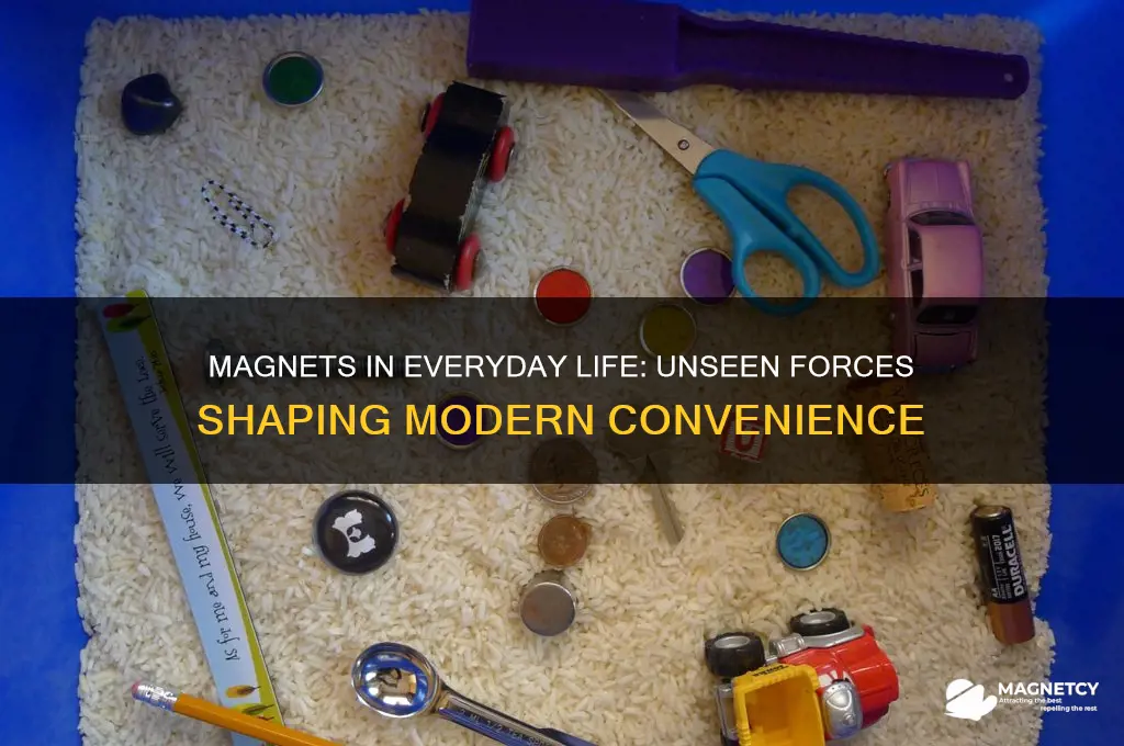 how are magnets used in everyday life