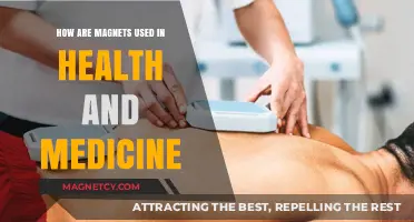 Magnetic Innovations: Transforming Health and Medicine with Advanced Applications