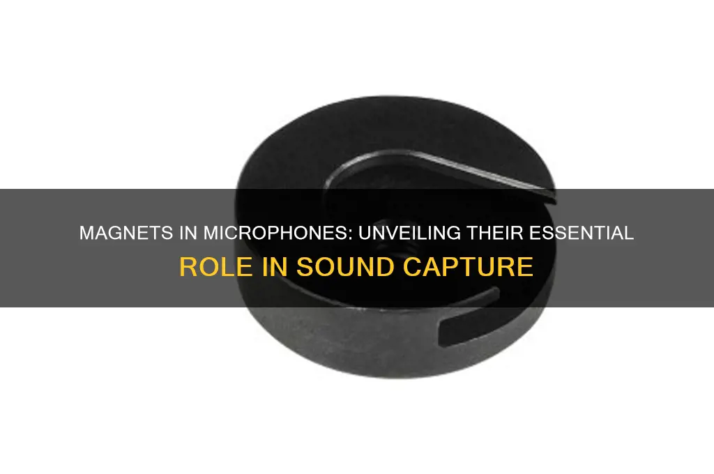 how are magnets used in microphones
