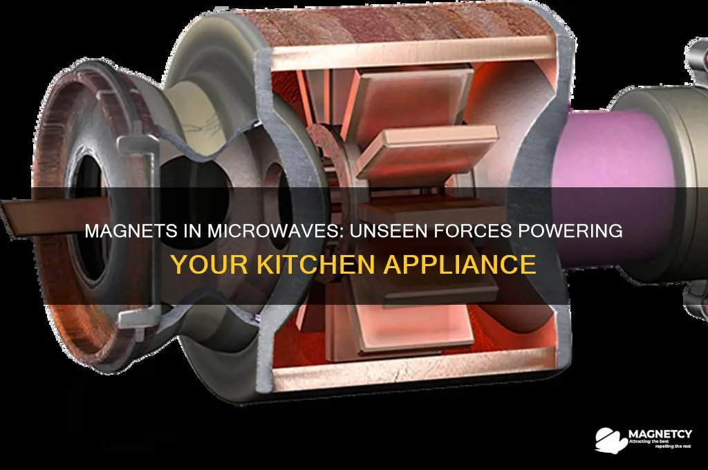how are magnets used in microwave