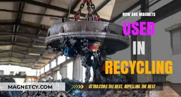 Magnets in Recycling: Sorting Metals for a Sustainable Future