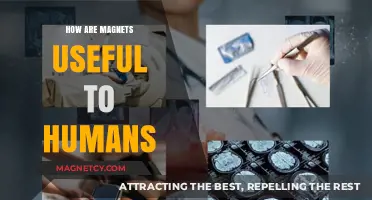 Magnets' Essential Role: Enhancing Technology, Health, and Daily Human Life