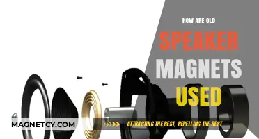 Repurposing Old Speaker Magnets: Creative Uses and Recycling Ideas
