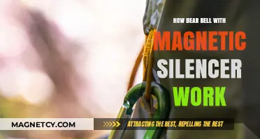 Exploring the Mechanics of Bear Bells with Magnetic Silencers