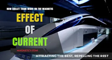 Exploring the Magnetic Marvel: How Bullet Trains Harness Current