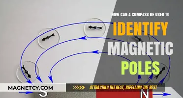 Using a Compass to Locate Earth's Magnetic Poles: A Simple Guide