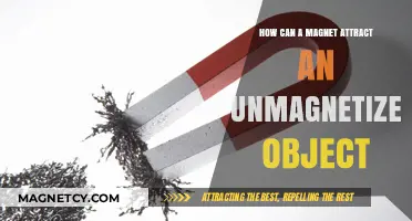 Magnetic Mysteries: How Magnets Attract Unmagnetized Objects Explained