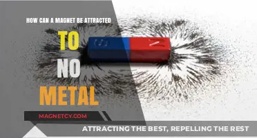 Magnetic Mysteries: Exploring Non-Metal Attractions and Their Science