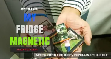 Simple DIY Tricks to Make Your Fridge Magnetic Again