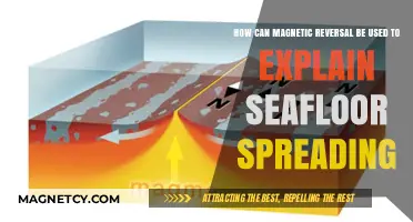 Magnetic Reversal Unveils Seafloor Spreading: Earth's Hidden Ocean Secrets