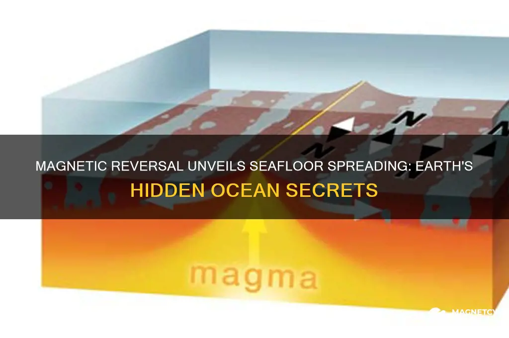 how can magnetic reversal be used to explain seafloor spreading