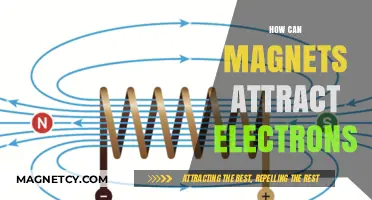 Magnetic Forces: How Magnets Attract Electrons and Influence Matter
