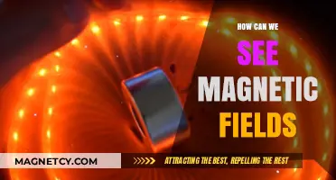 Visualizing Magnetic Fields: Techniques and Tools for Detection