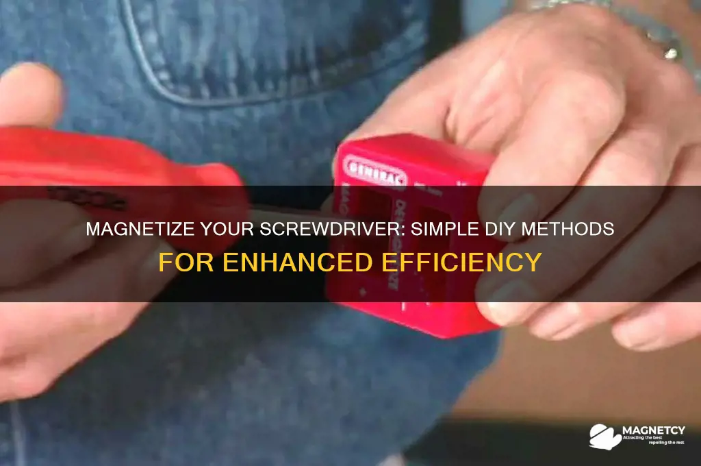how can you magnetize a screwdriver