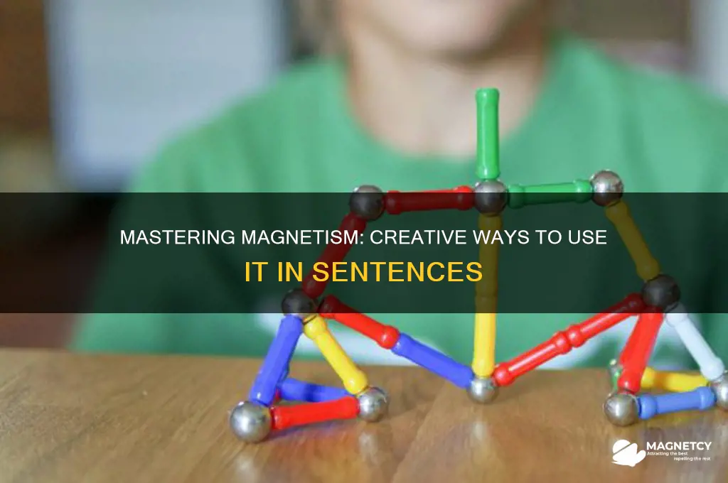 how can you use magnetism in a sentence