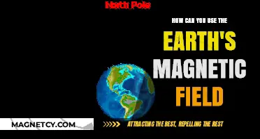 Harnessing Earth's Magnetic Field: Innovative Applications and Practical Uses