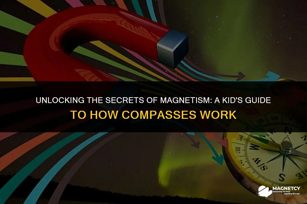 how compass works magnetism lesson for kids