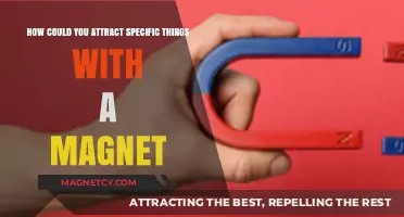 Mastering Magnetic Attraction: Techniques to Pull Specific Items with Magnets