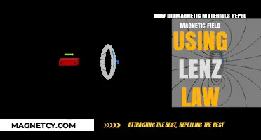 Diamagnetic Repulsion: Lenz's Law Explains Magnetic Field Resistance