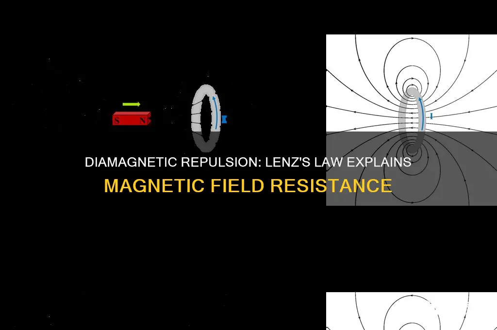 how diamagnetic materials repel magnetic field using lenz law
