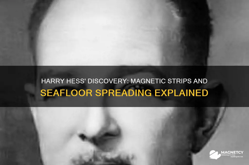 how did harry hess use magnetic strips