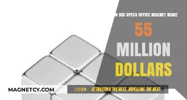 The Rise of Specs Office Magnet: A $55 Million Success Story