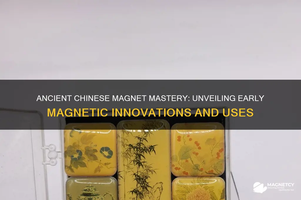 how did the ancient chinese use magnets