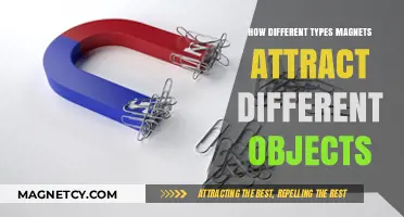 Magnetic Mysteries: Exploring How Different Magnets Attract Varied Objects