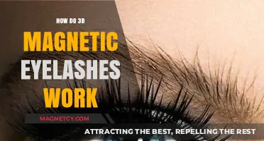 Understanding the Magic: How 3D Magnetic Eyelashes Work